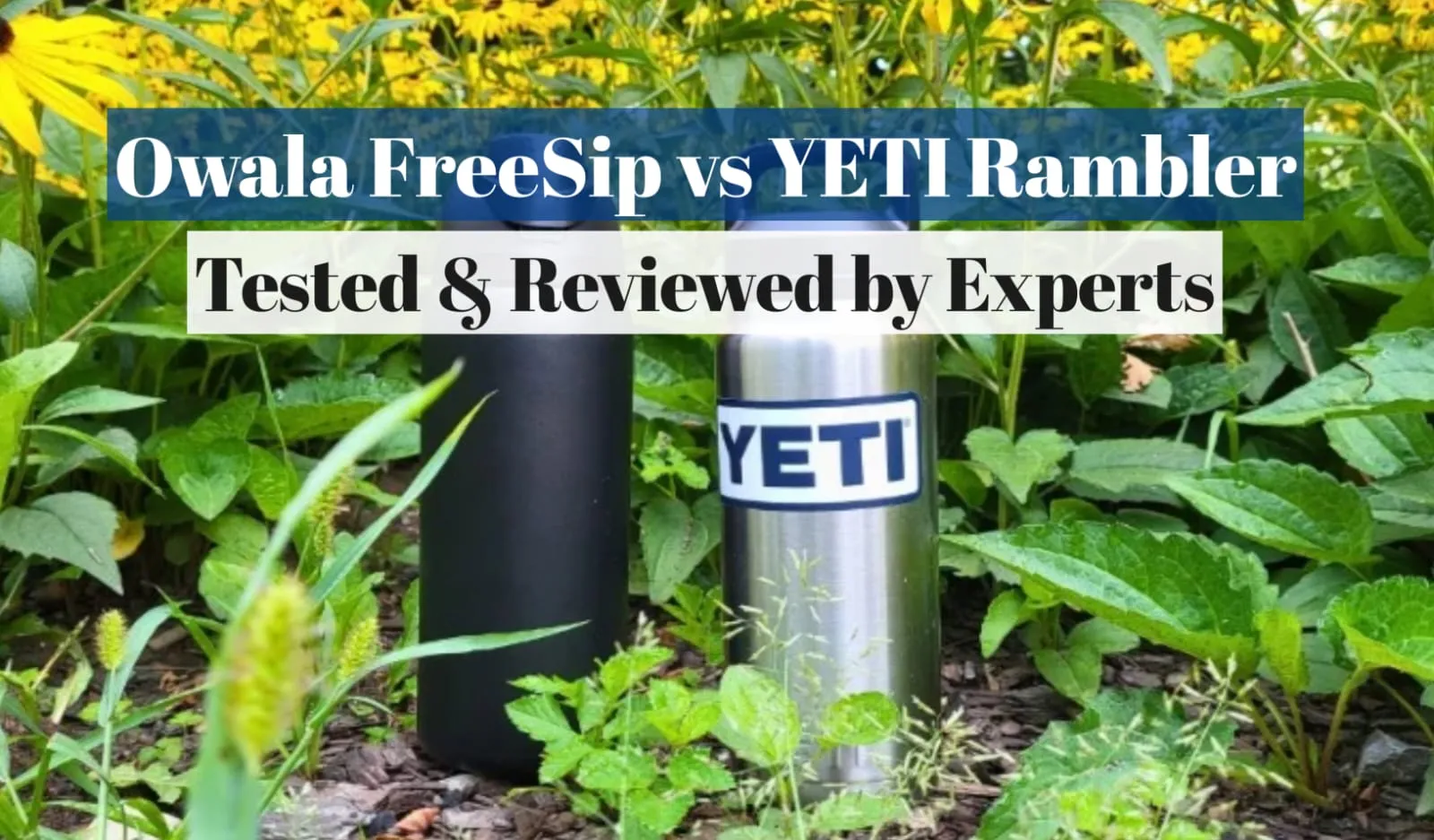 Owala FreeSip vs YETI Rambler