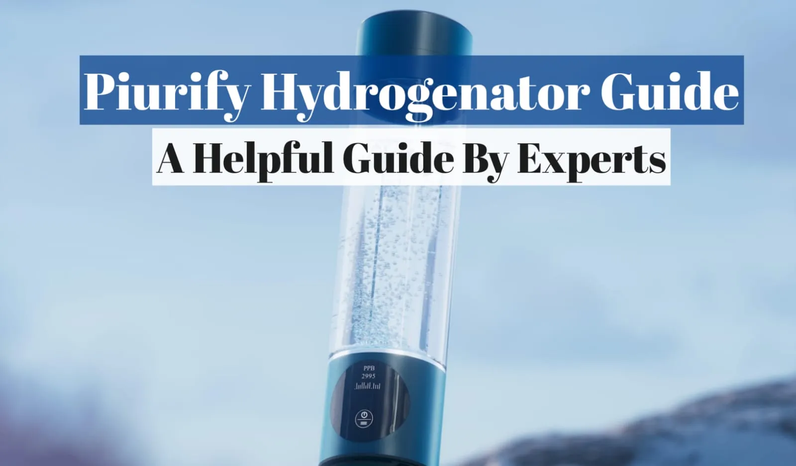 Piurify Hydrogenator Guide