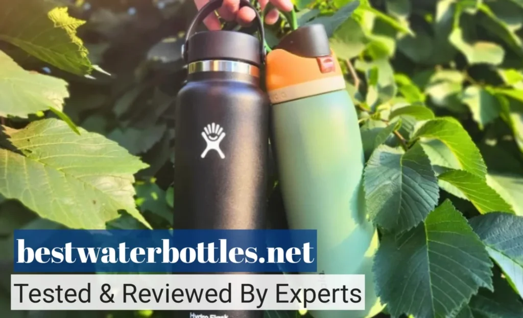Environmental Impact and Sustainability
