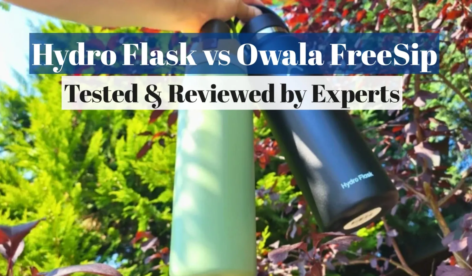 Hydro Flask vs Owala