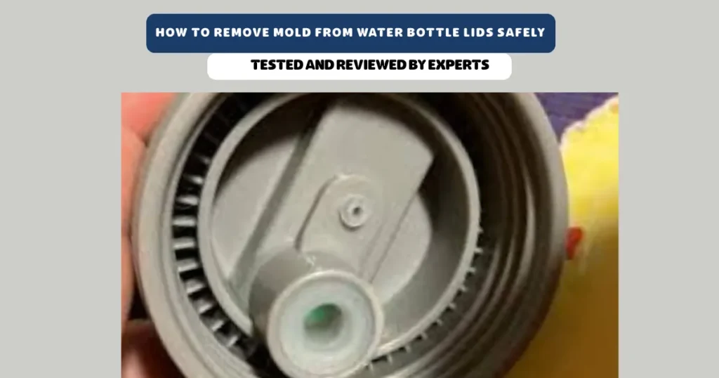 How to remove mold