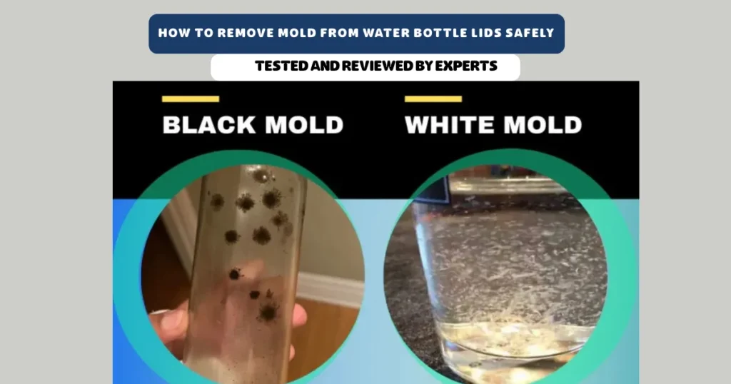 How to remove mold